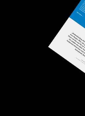 Allea Consult website screenshot 4